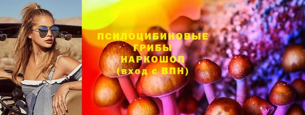 ПСИЛОЦИБИНОВЫЕ ГРИБЫ Няндома